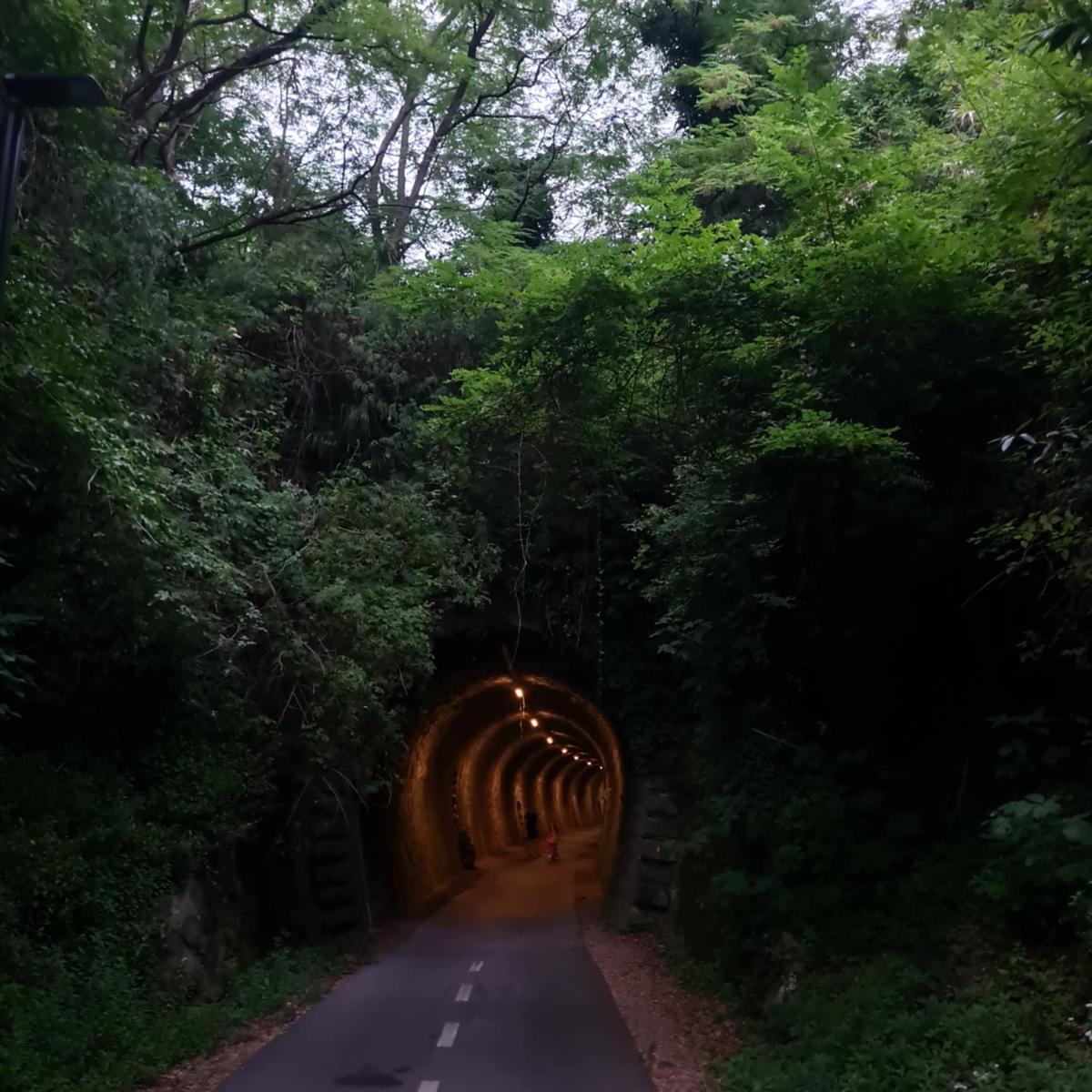 Kolesarska pot Parenzana – naravna senca in urejena pot v Izoli